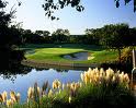 TPC Four Seasons